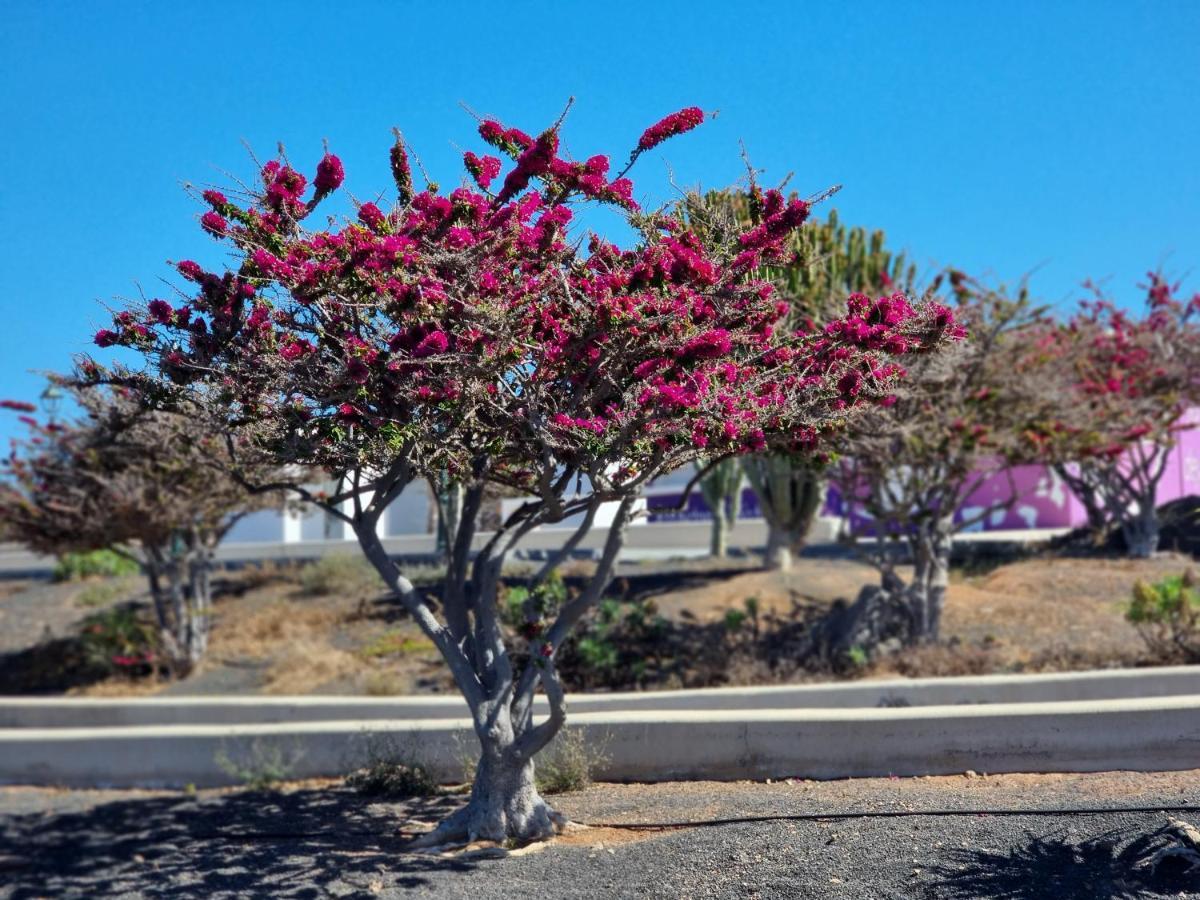 דירות Tías Bella Vista 414-Ocean Lanzamar- Puerto Del Carmen מראה חיצוני תמונה